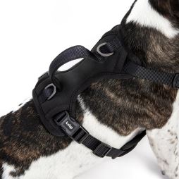 KVISP Safety Harness (1)