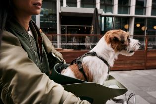 KVISP Dog Bike Carrier S (1)