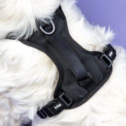 KVISP Safety Harness (2)
