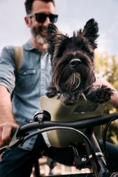 KVISP Dog Bike Carrier S (15)