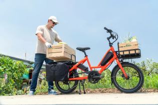 TERN Cargo Tray (10)