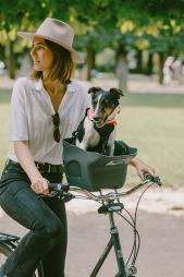 KVISP Dog Bike Carrier M (28)