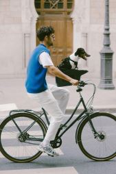 KVISP Dog Bike Carrier S (14)