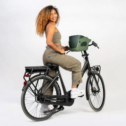 KVISP Dog Bike Carrier M (2)