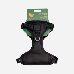 KVISP Safety Harness (1)