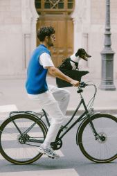 KVISP Dog Bike Carrier S (34)