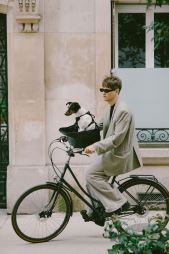 KVISP Dog Bike Carrier S (28)