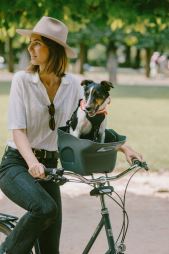 KVISP Dog Bike Carrier S (12)